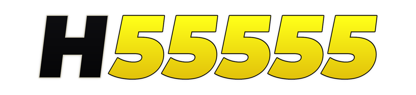 h55555